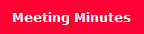 Meeting Minutes